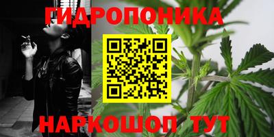 PSILOCYBIN Обнинск