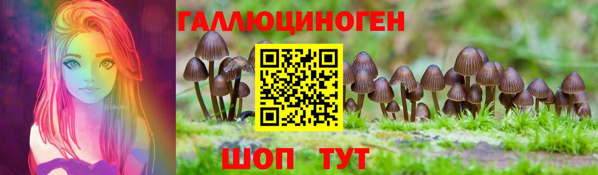 Галлюциногенные грибы Cubensis Севастополь
